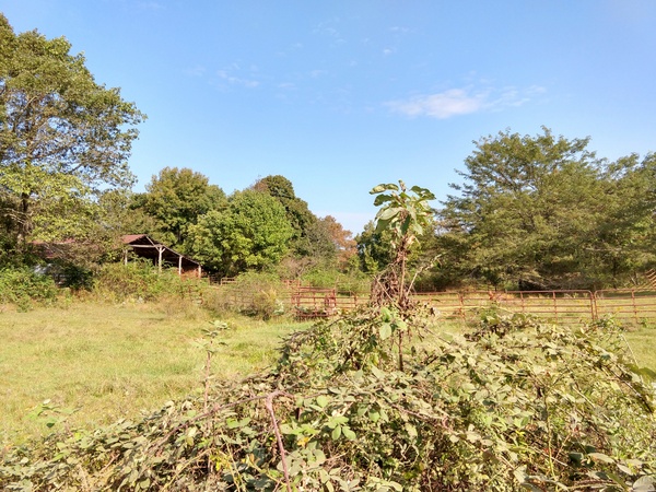 IMG_20191005_102547314_HDR