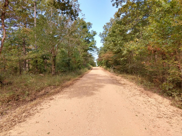 IMG_20191005_102853304_HDR