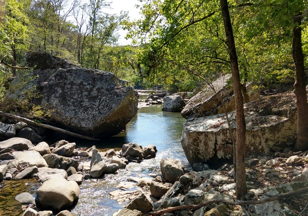 IMG_20191005_115649262_HDR