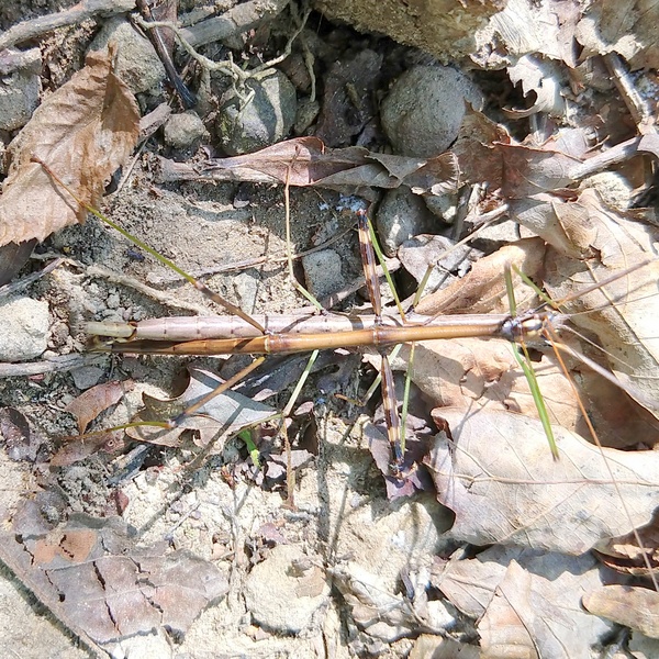 IMG_20191005_122650764