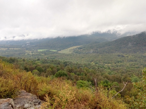 IMG_20191006_091130414_HDR