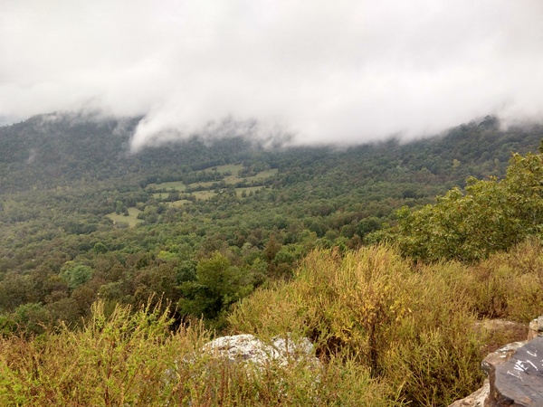 IMG_20191006_091151863_HDR