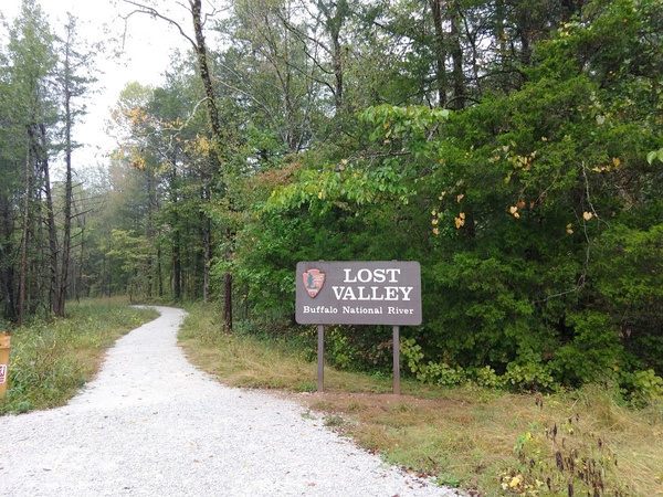 IMG_20191006_125444711